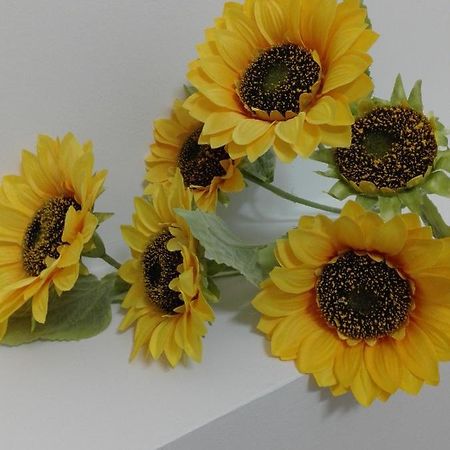 Bed and Breakfast Girasole Grazioli 47 Trento Exterior foto