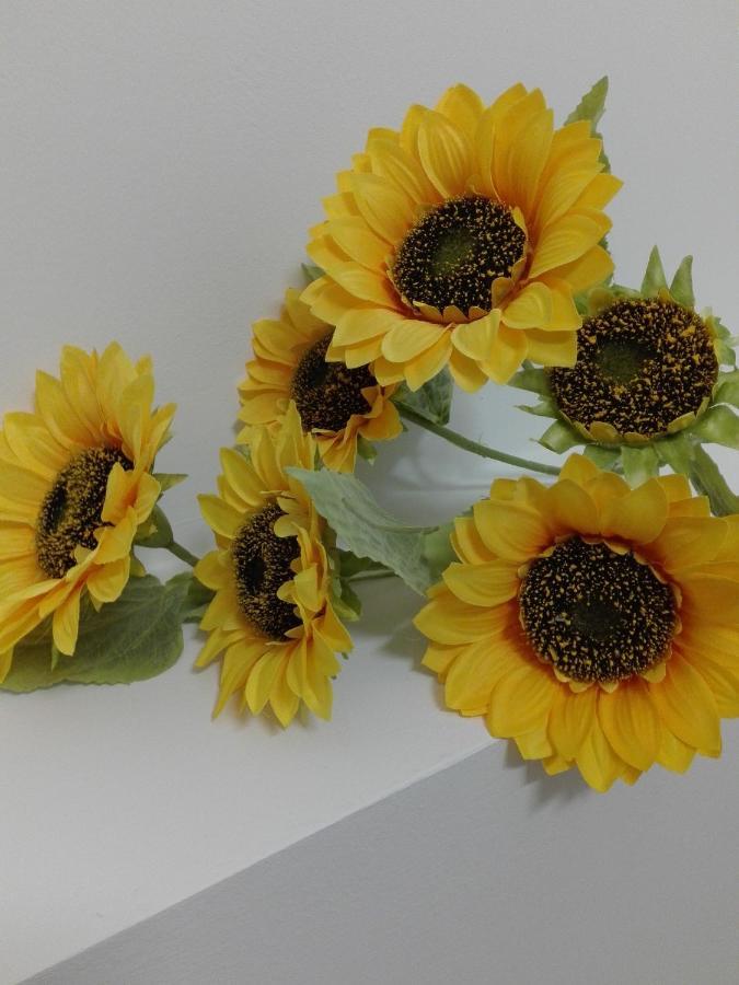 Bed and Breakfast Girasole Grazioli 47 Trento Exterior foto